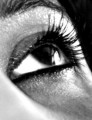 DSC_0585_a - eye DSC_0585_a - eye